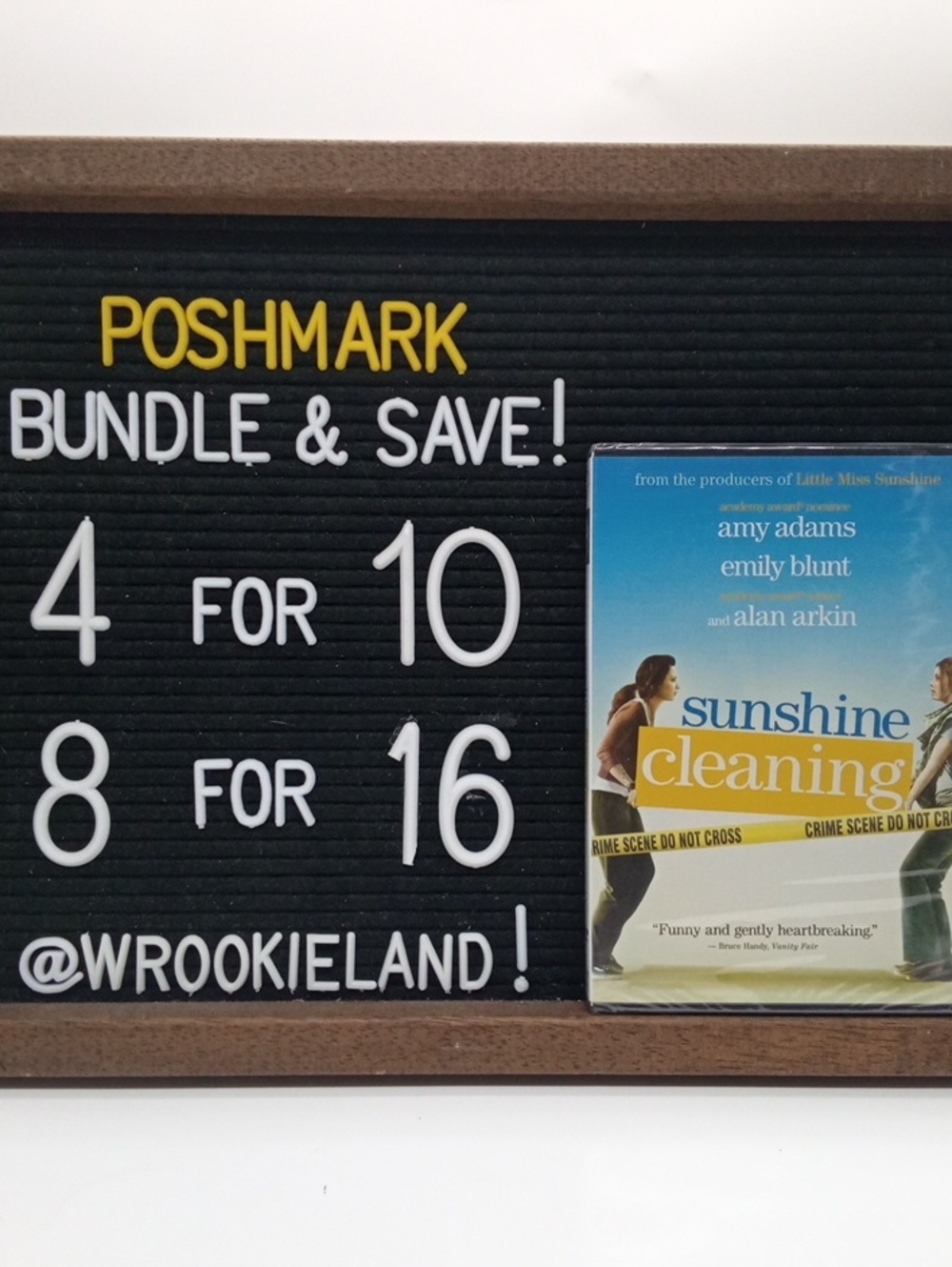 Sunshine Cleaning DVD#E64